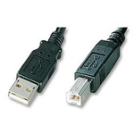 USB2.0 AM-BM Printer Cable -    2M/6ft
